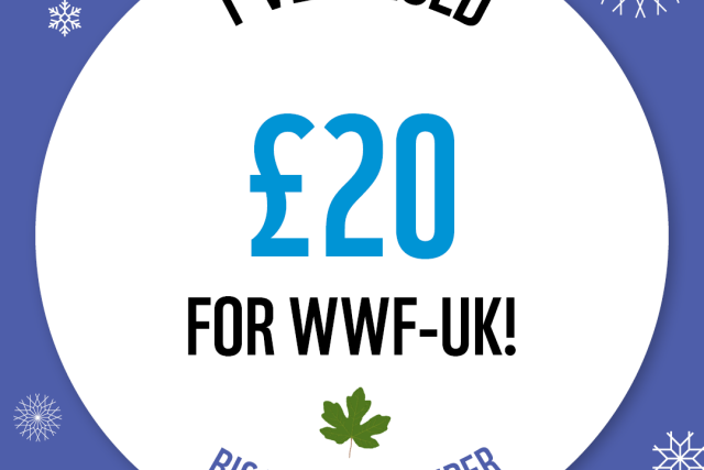 WWF The Big Winter Wander - £20 Raised Badge