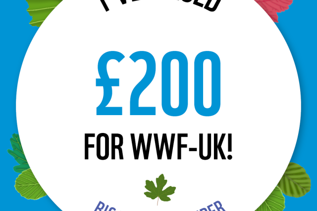 WWF The Big Winter Wander - £200 Raised Badge