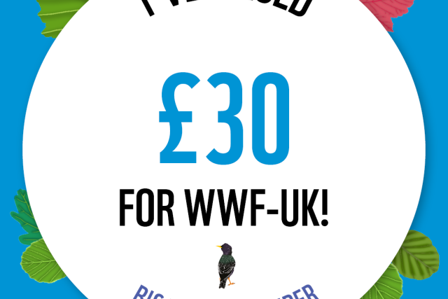 WWF The Big Winter Wander - £30 Raised Badge