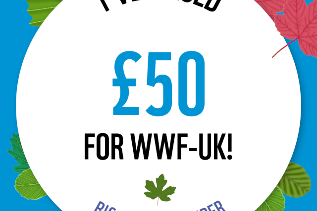 WWF The Big Winter Wander - £50 Raised Badge