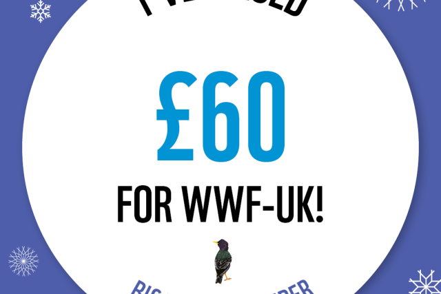 WWF The Big Winter Wander - £60 Raised Badge