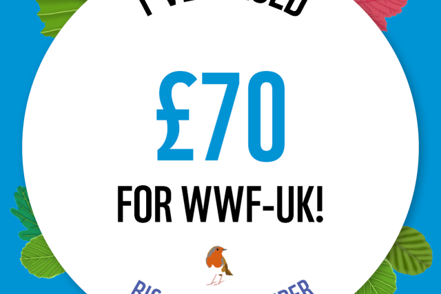 WWF The Big Winter Wander - £70 Raised Badge