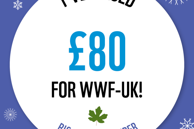 WWF The Big Winter Wander - £80 Raised Badge