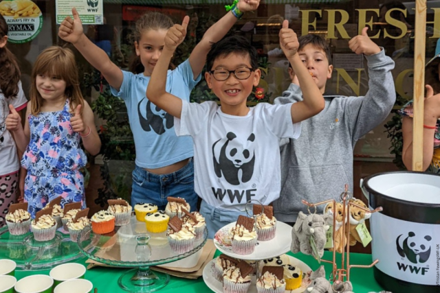 DIY BAKE SALE