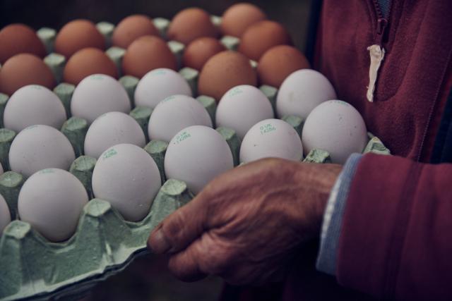A tray of brown and white eggs from hens at Nantclyd farm.