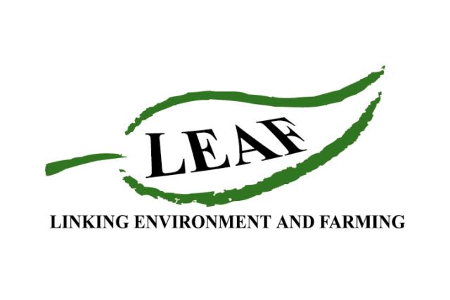 LEAF logo