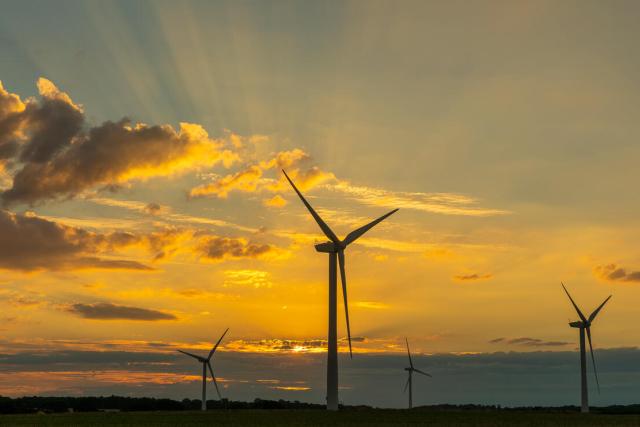 Wind turbines are backlit by the setting sun in Norfolk, UK.