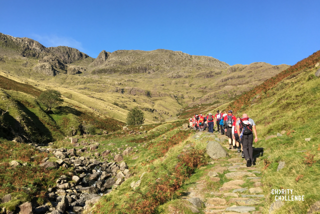 trekkers walking through hills