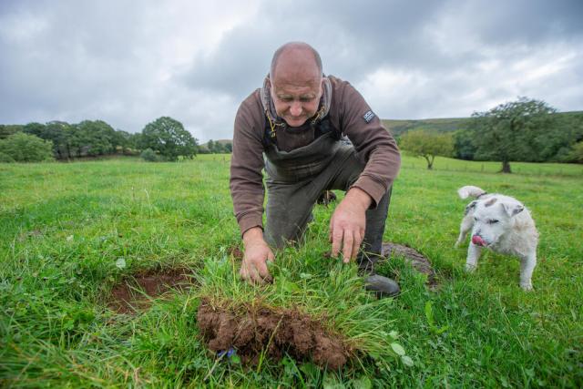 Farmer Inspecting Soil