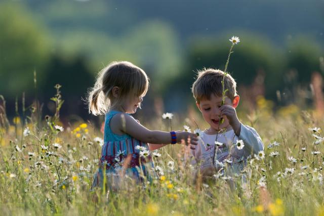 Young children, a boy and girl, playing in hay meadow