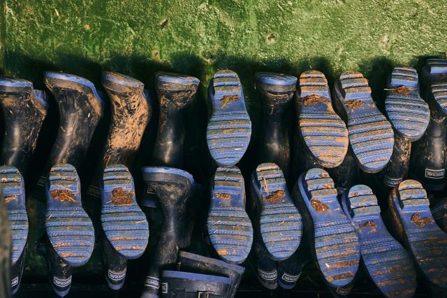 Boots lined up on Slade Farm