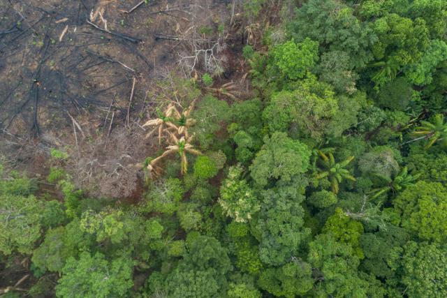 Aerial view of deforestation of the Amazon rainforest, in Maués, on december 11, 2020