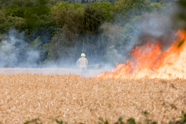 Firefighters working hard in unbearable temperature to save a burning cornfield field in Britain driest summer in years