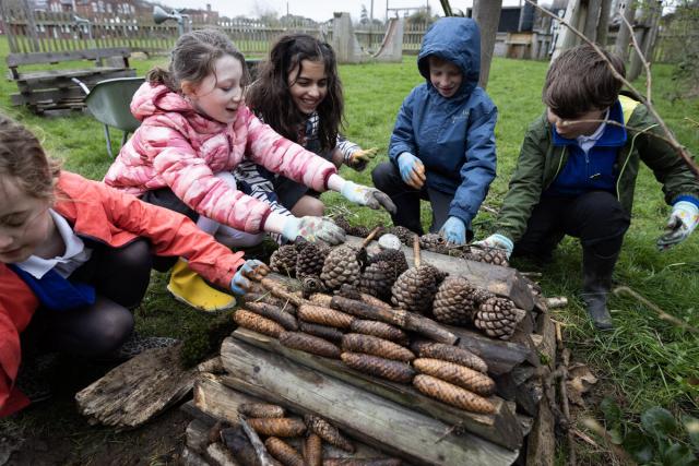 School children collecting and using wood and pinecones to build bug hotels.