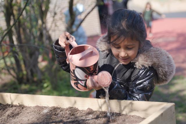 Airwick project images