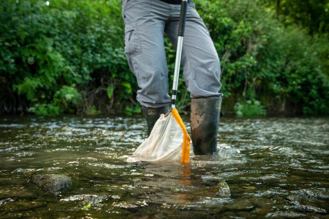 Image of person kick sampling in river in Herefordshire UK © Joseph Gray - WWF-UK.jpg