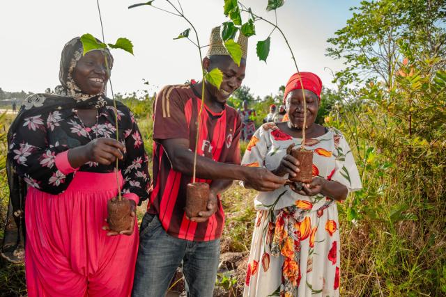 Community members participate in tree planting exercises in Kazimzumbwi Forest Reserve, Tanzania.