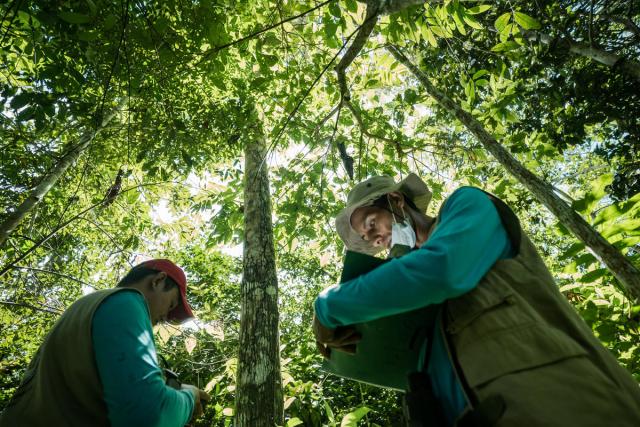 A group of local community leaders and 'environmental promoters' conduct an environmental survey of the forest on the farm of Marco Aurelio Zapata, who has committed to protect the remaining forest on his property for conservation purposes. (Left to right: Tito Tiverio Roldan, Giovani Bermudez).