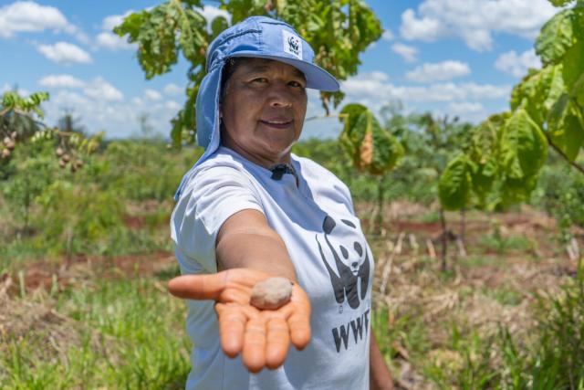Woman holding out a Baru tree seed to the camera