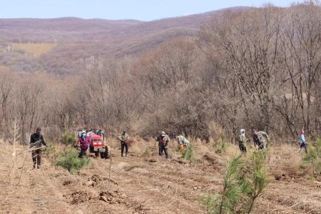 A group of people working on Dongning Forest Restoration