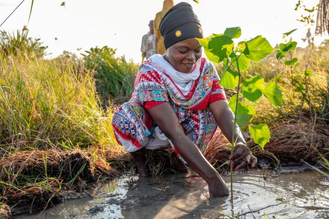Community members participate in tree planting exercises in Kazimzumbwi Forest Reserve, Tanzania.