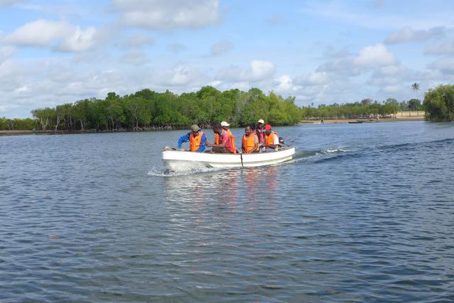 Vlinder team mangrove forest monitoring in Kenya. 
