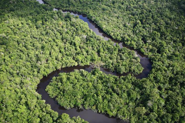 Aerial shot of the Amazon with a winding river, Loreto region, Peru.