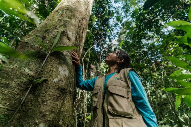Marisela Silva Parra, local community leader and 'environmental promoter' conducting environmental survey of the forest found on a local farm.
