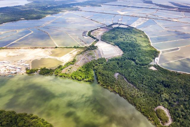 Areal shot of mangrove and shrimp farms, Isla Escalante, Ecuador.