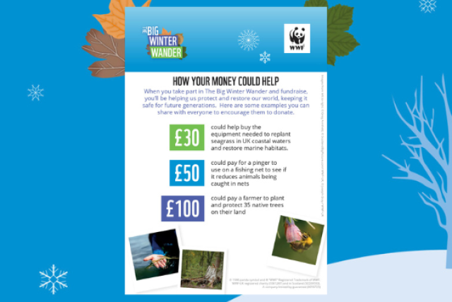 Big Winter Wander How Your Money Could Help Poster - what £30, £50 & £100 could support