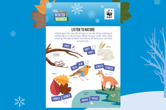 Big Winter Wander Listen to Nature Activity Sheet - what noises to listen out for for robins, foxes, leaves, rabbits