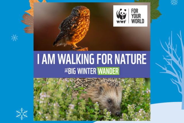 Sponsor Me Poster - UK wildlife