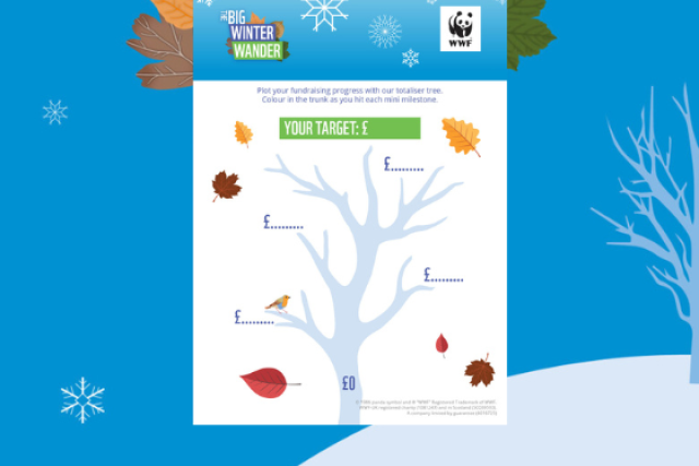 Big Winter Wander Fundraising Totaliser Tree with autumn leaves