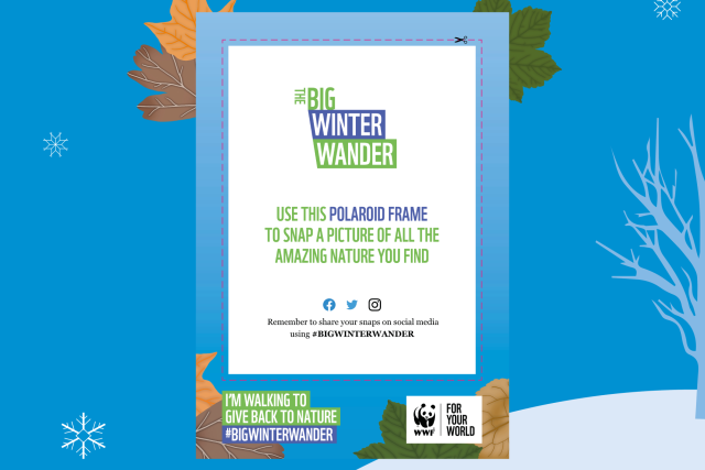 WWF The Big Winter Wander Polaroid Frame
