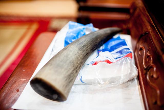 A rhino horn for sale on the table of a black market animal trade dealer at his home in Hanoi, Vietnam.