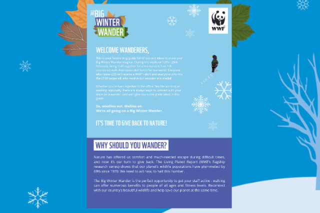 Big Winter Wander corporate toolkit header