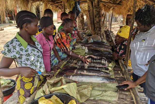 Women fishmongers selling unprocessed fresh fish.