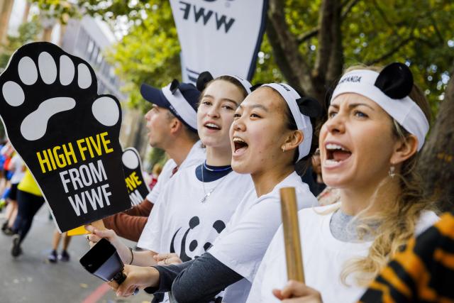 A group of WWF volunteers at London Marathon