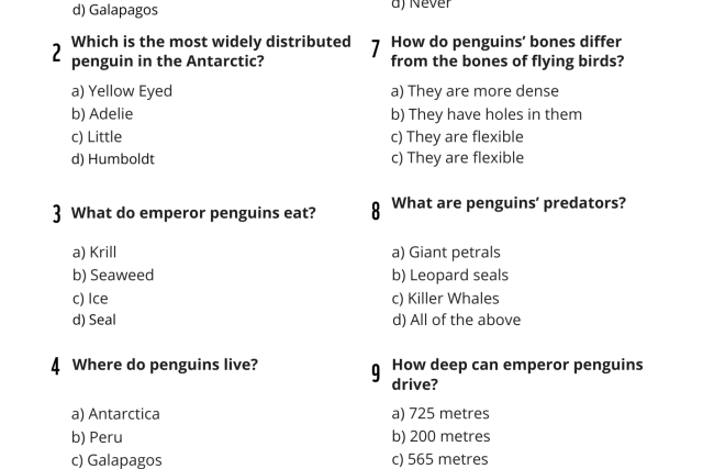 Penguin quiz 