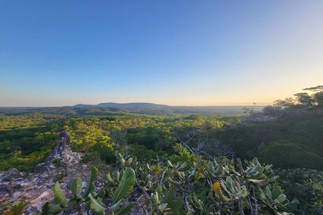 Ruvuma transboundary landscape