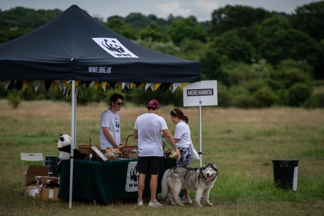 Great Wild Walks merch stand picture