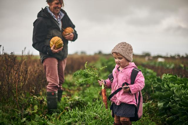 Vegetable picking mother and daughter