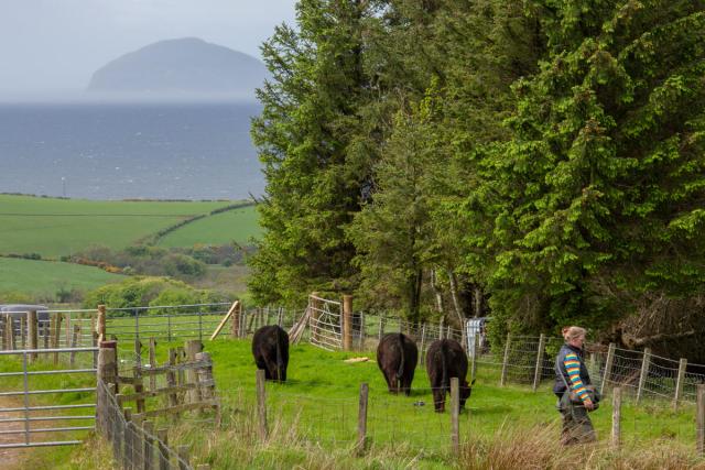 Farmer Heather close South Ayrshire Scotland