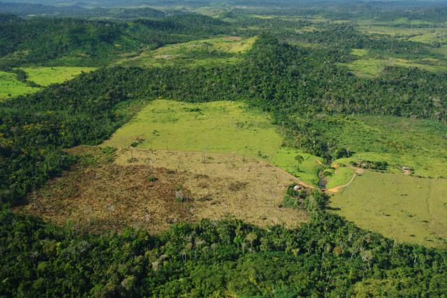 Aerial view of forest cover being replaced with grazing land and cattle farms