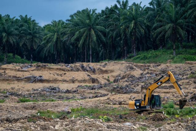 A digger ploughs deforested land on an oil palm plantation in Sabah, Borneo