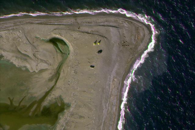 Satellite imagery of Atlantic Walrus haul out