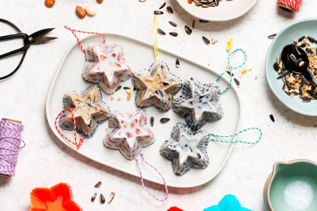 Bird Feeder treats