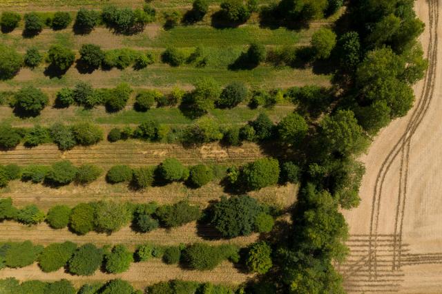 Aerial views of Wakelyns Farm, Suffolk, regen ag