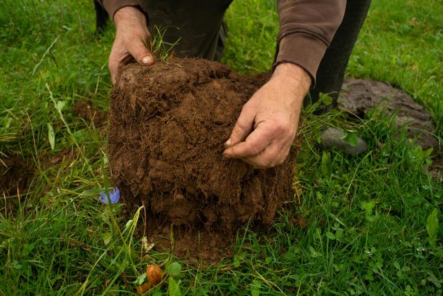 Regenerative farmer Hywel Morgan on his farm in Wales 