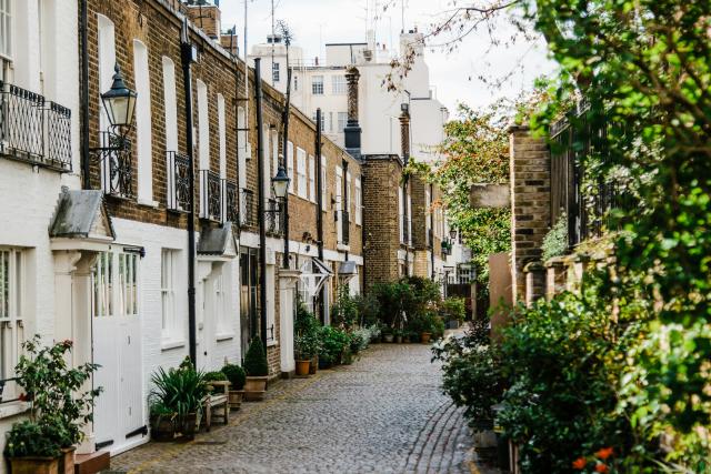 London side street with tree line